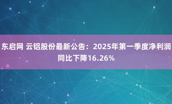 东启网 云铝股份最新公告：2025年第一季度净利润同比下降16.26%