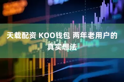 天载配资 KOO钱包 两年老用户的真实想法